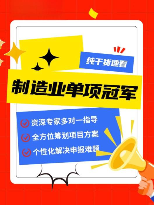 单项冠军申报辅导(单项冠军是什么意思)北屯市